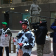 Expanded Trade in the TPP Must Not Undermine North America’s Dairy Sector Dairy Farmers, Processing Workers and Consumer Advocates throughout Pacific Rim Express Shared Concerns  Washington, DC — As international […]